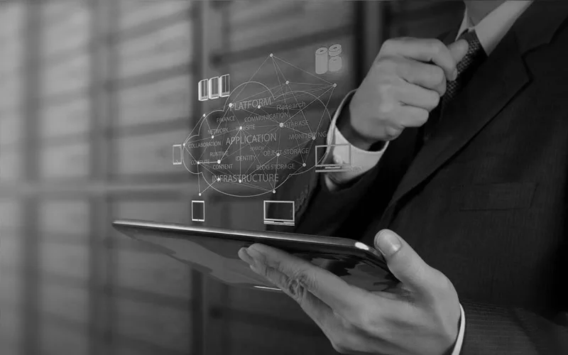 Perfect B2B Portal Development with Marketing Insect